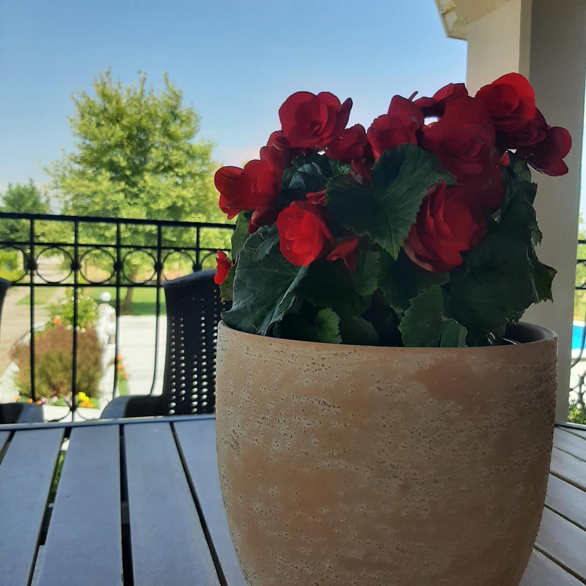 הוילה Ligaria  Αρχοντικό Παπανικολάου מראה חיצוני תמונה